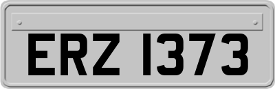 ERZ1373