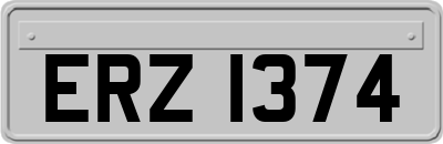 ERZ1374