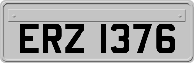 ERZ1376