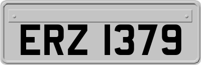 ERZ1379