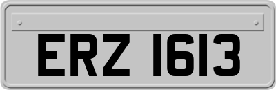 ERZ1613