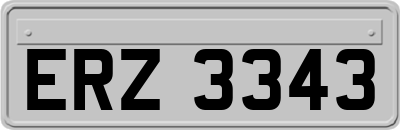 ERZ3343