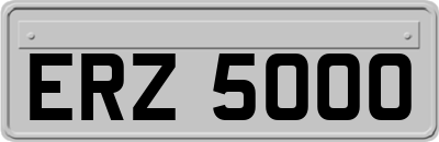 ERZ5000