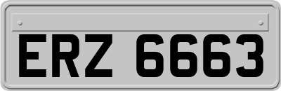 ERZ6663