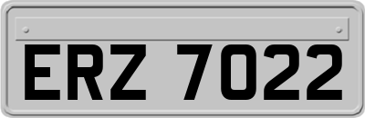 ERZ7022
