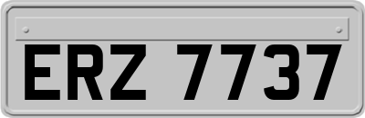 ERZ7737