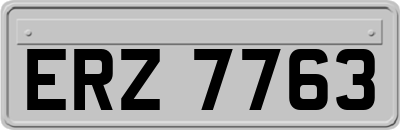 ERZ7763
