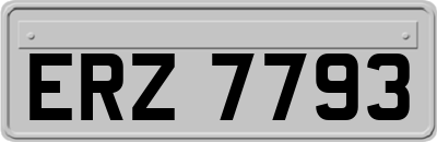 ERZ7793