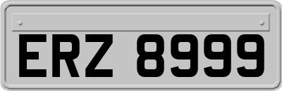 ERZ8999