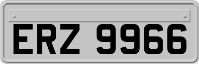 ERZ9966