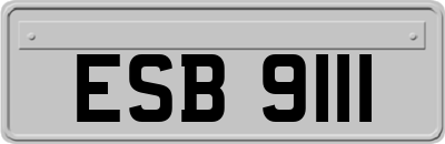 ESB9111