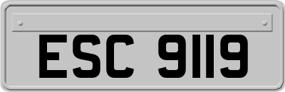 ESC9119