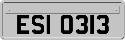 ESI0313