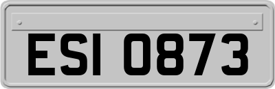 ESI0873