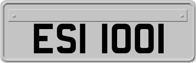 ESI1001
