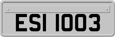 ESI1003
