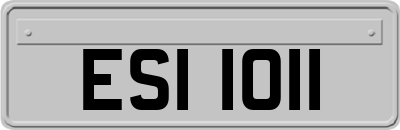 ESI1011