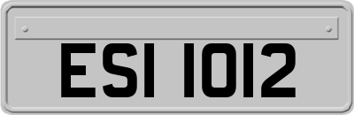 ESI1012