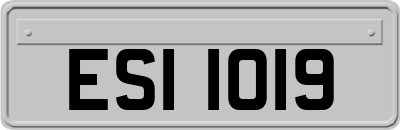ESI1019