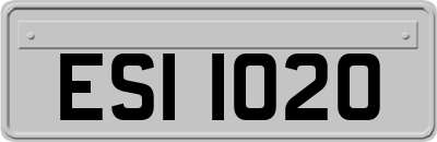 ESI1020