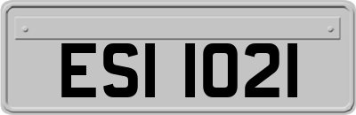 ESI1021