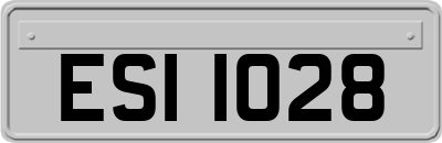 ESI1028