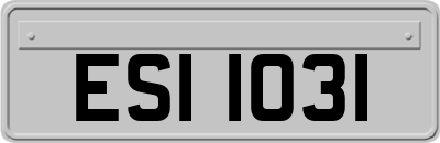 ESI1031
