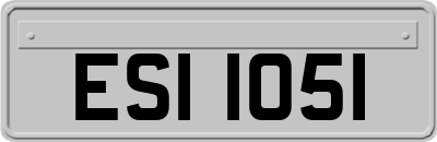 ESI1051