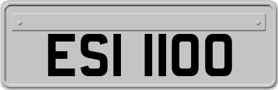 ESI1100