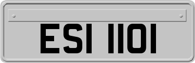 ESI1101