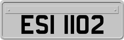 ESI1102
