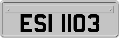 ESI1103
