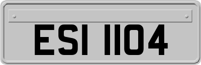 ESI1104