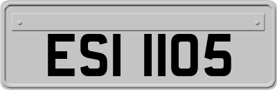 ESI1105