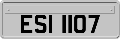 ESI1107