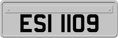 ESI1109