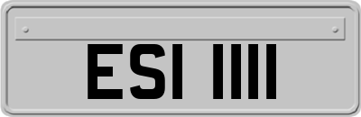 ESI1111