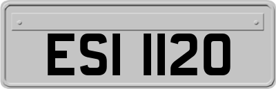 ESI1120