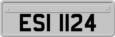 ESI1124
