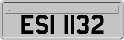 ESI1132