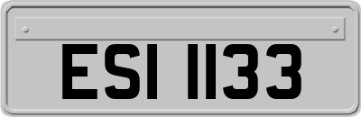 ESI1133