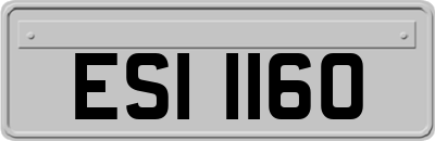 ESI1160