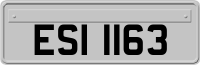 ESI1163