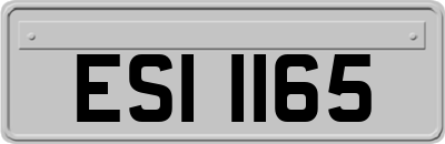 ESI1165