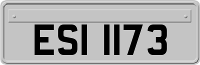 ESI1173