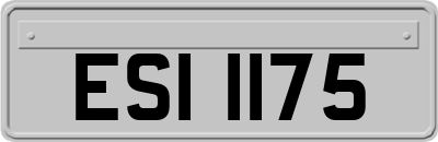ESI1175