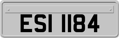 ESI1184