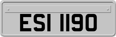 ESI1190
