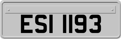 ESI1193
