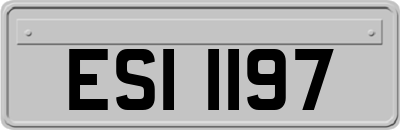 ESI1197